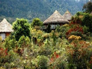 Baliem Valley Resort Wamena Exteriör bild
